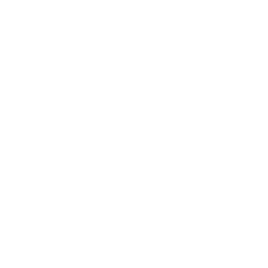 Adam Carpets